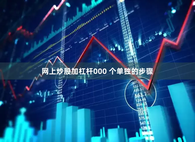 网上炒股加杠杆000 个单独的步骤