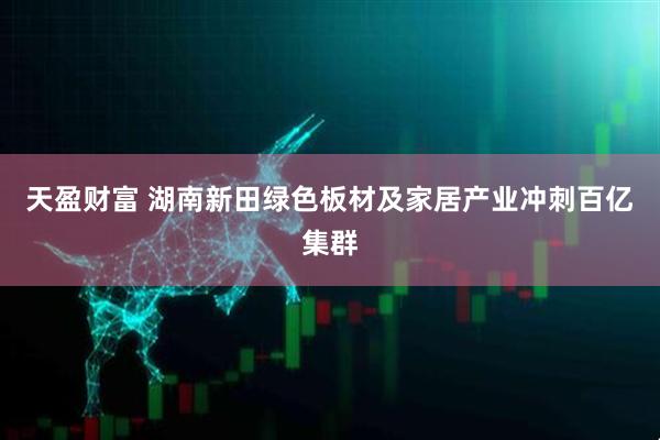 天盈财富 湖南新田绿色板材及家居产业冲刺百亿集群